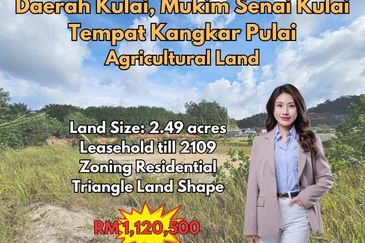 Daerah Kulai, Mukim Senai Kulai, Tempat Kangkar Pulai Agricultural Land For Sale
