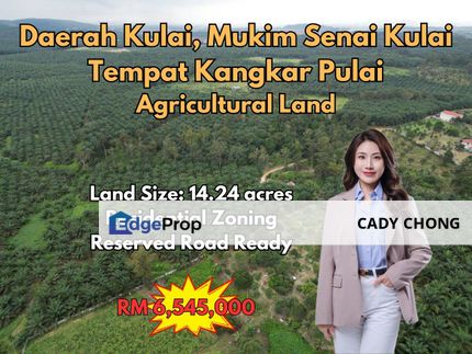 Daerah Kulai Mukim Senai Kulai Tempat Kangkar Pulai Agricultural Land For Sale, Johor, Kulai