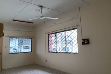 Stulang Laut / Darat