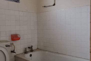 Stulang Laut / Darat