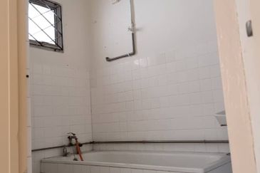 Stulang Laut / Darat