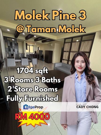 Molek Pine 3 Taman Molek Fully Furnished Unit For Rent, Johor, Johor Bahru