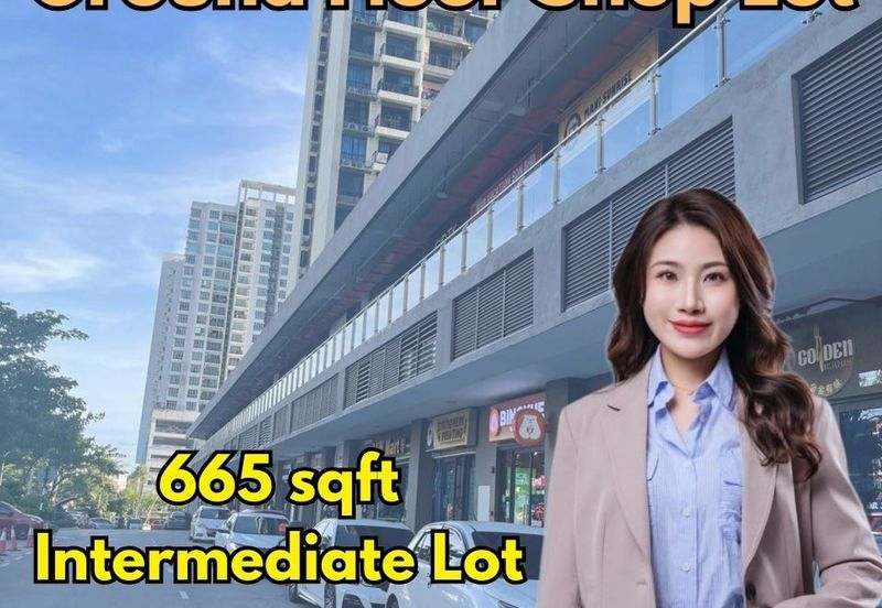 Taman Damansara Aliff