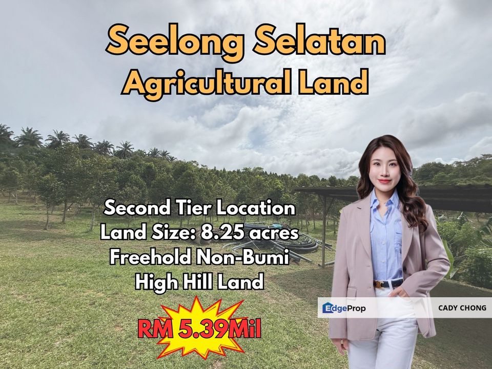 Seelong Selatan Agricultural Land For Sale, Johor, Senai