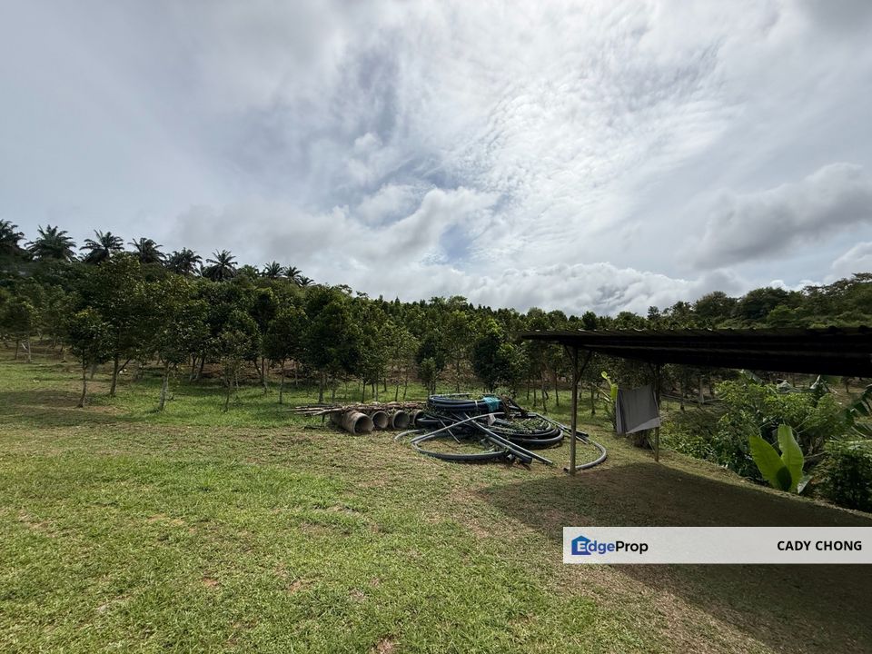 Seelong Selatan Agricultural Land For Sale, Johor, Senai