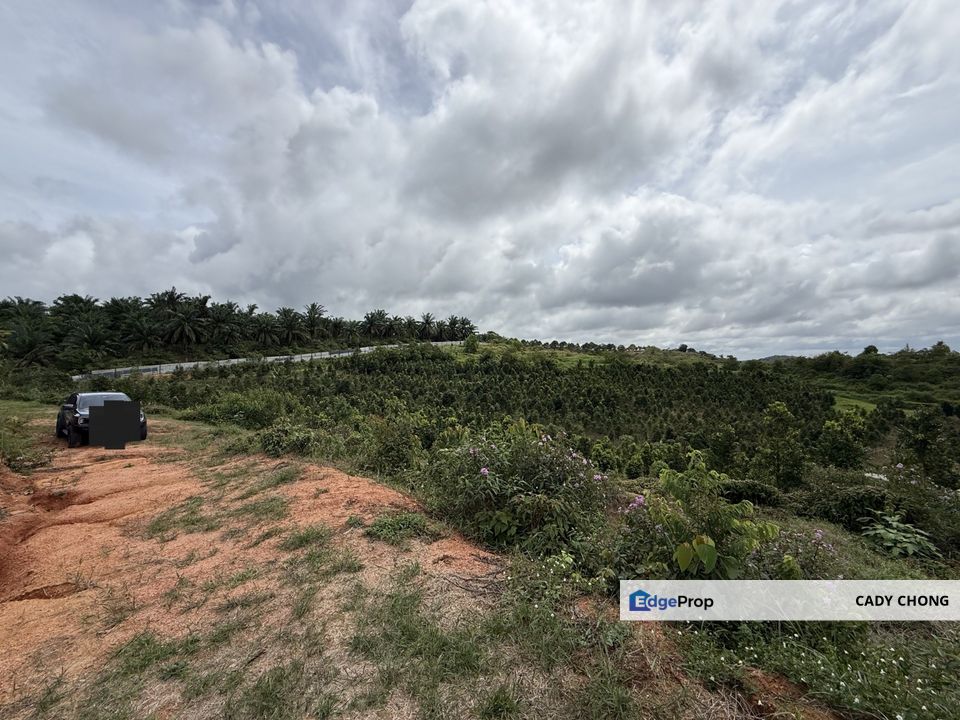 Seelong Selatan Agricultural Land For Sale, Johor, Senai