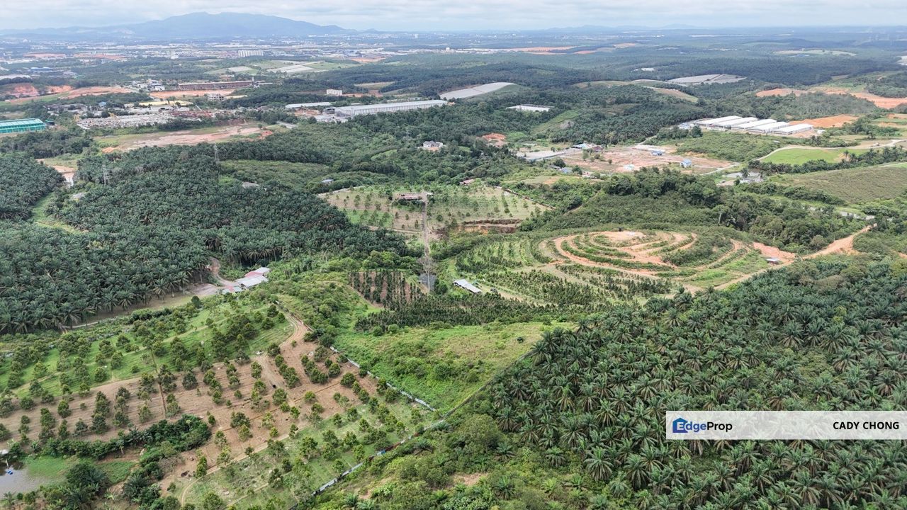 Seelong Selatan Agricultural Land For Sale, Johor, Senai