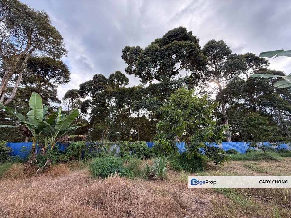 Pontian Jeram Batu Batu 22 Agricultural Land For Sale, Johor, Pontian