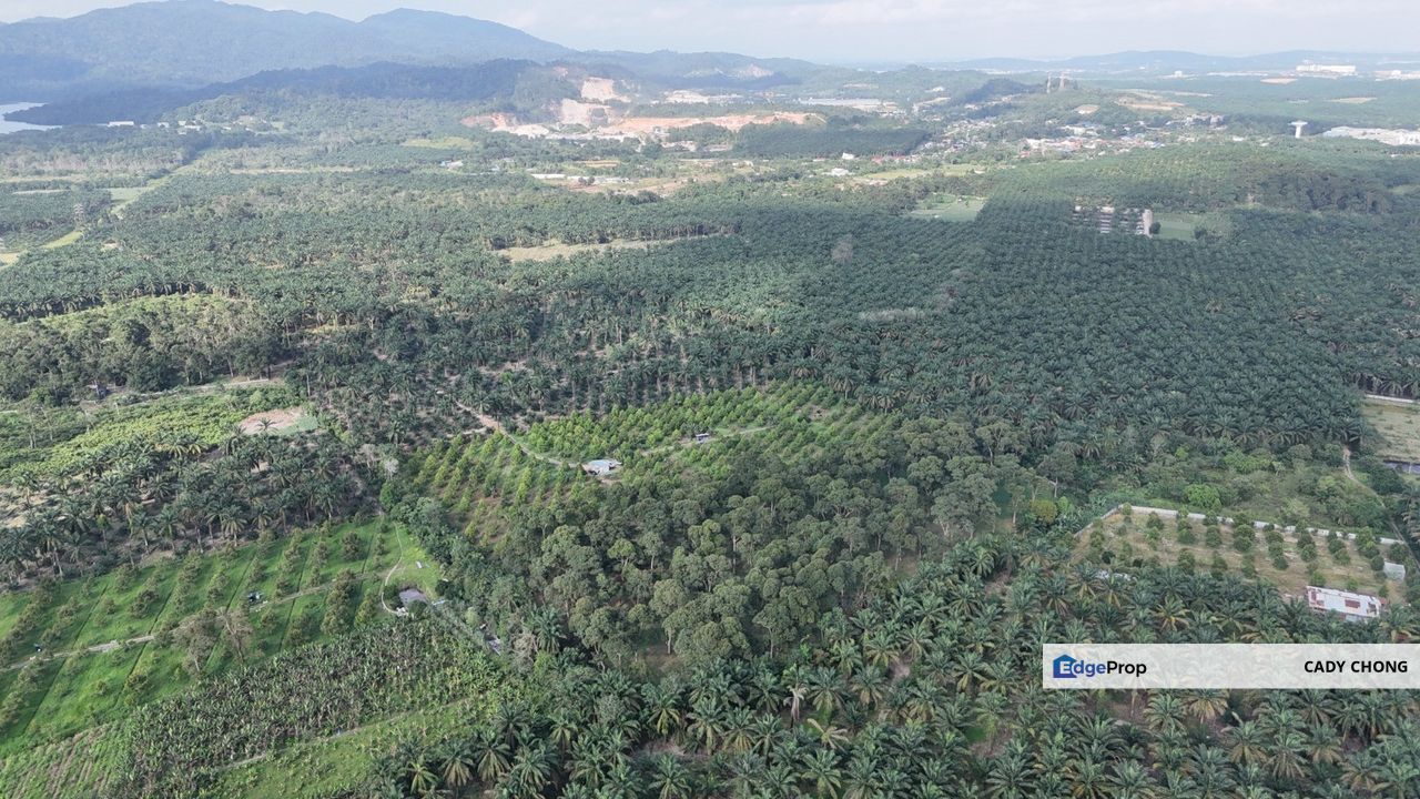 Pontian Jeram Batu Batu 22 Agricultural Land For Sale, Johor, Pontian