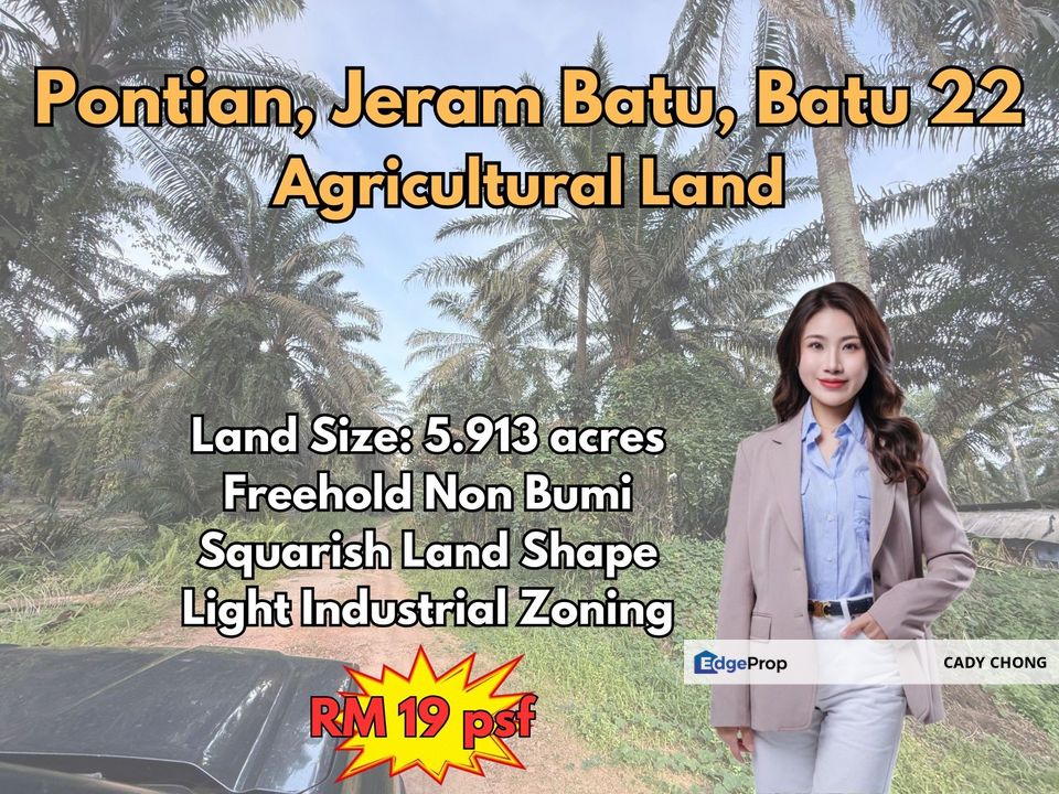 Pontian Jeram Batu Agriculture Land For Sale, Johor, Pontian