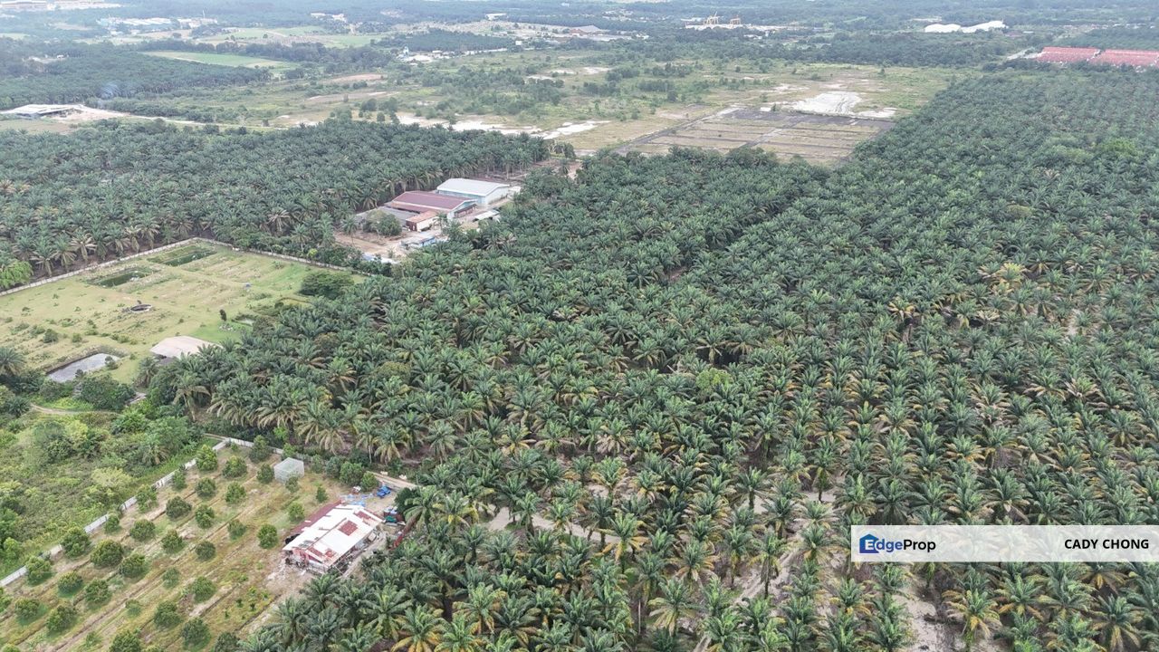 Pontian Jeram Batu Agriculture Land For Sale, Johor, Pontian