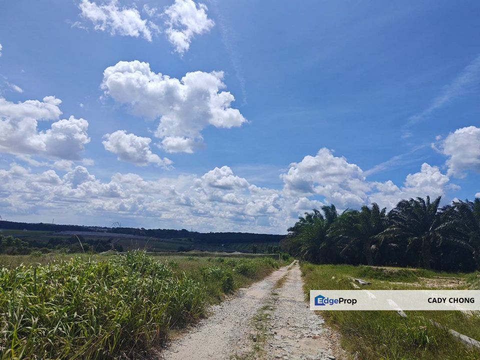 Mukim Plentong Agriculture Land For Sale, Johor, Ulu Tiram