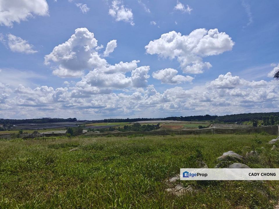 Mukim Plentong Agriculture Land For Sale, Johor, Ulu Tiram