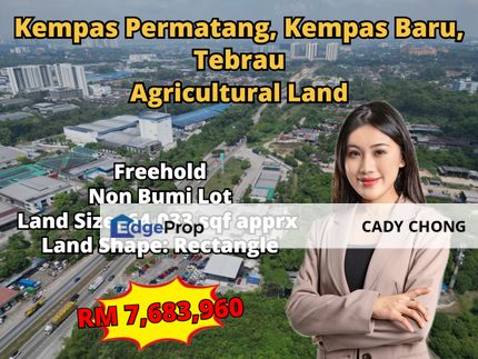 Kempas Permatang Kempas Baru Tebrau Agricultural Land For Sale, Johor, Johor Bahru