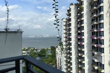 Regalia Park @ Forest City