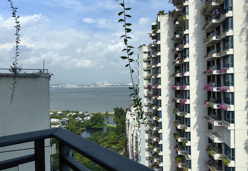 Regalia Park @ Forest City