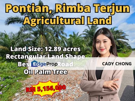 Rimba Terjun Pontian Agricultural Land For Sale, Johor, Pontian