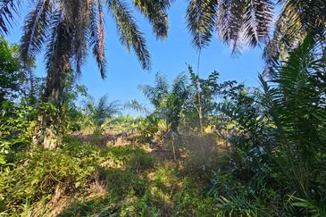 Kota Kecil @ Mukim Kota Tinggi Agricultural Land For Sale