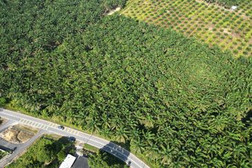 Kota Kecil @ Mukim Kota Tinggi Agricultural Land For Sale