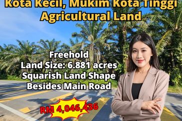 Kota Kecil @ Mukim Kota Tinggi Agricultural Land For Sale