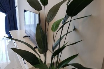 Royal Strand @ Country Garden Danga Bay