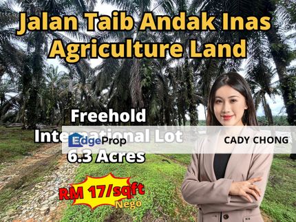 Jalan Taib Andak Inas Agriculture Land For Sale, Johor, Kulai