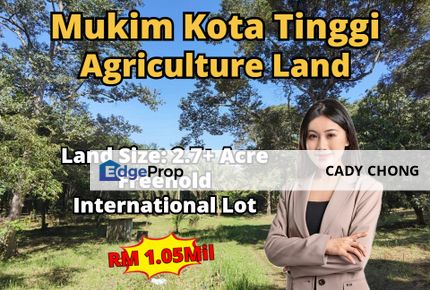 Kota Tinggi Agriculture Land For Sale, Johor, Kota Tinggi