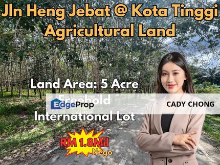 Jalan Heng Jebat @ Kota Tinggi Agricultural Land For Sale, Johor, Kota Tinggi