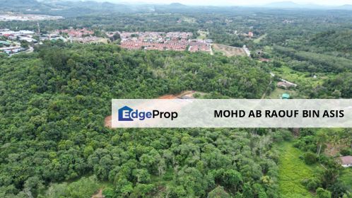 Tanah Pertanian Untuk Dijual di Mukim Pulau Sebang, Alor Gajah Melaka, Melaka, Alor Gajah