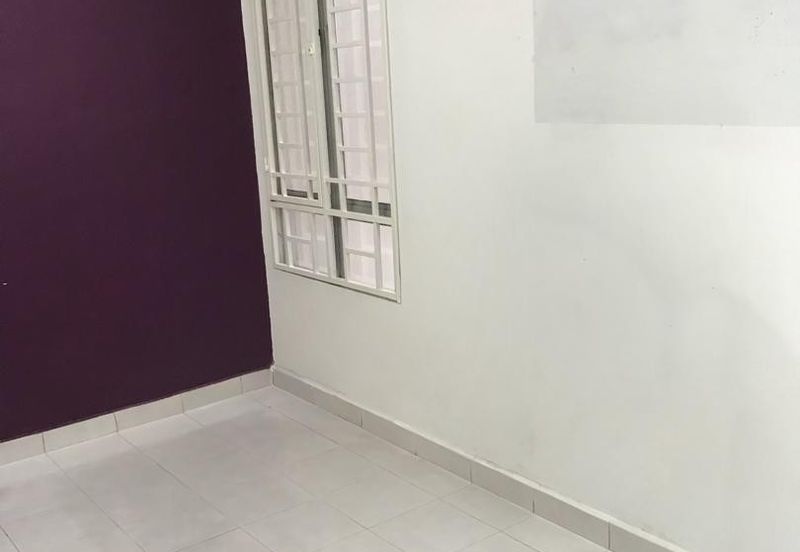 Palm Garden Apartment