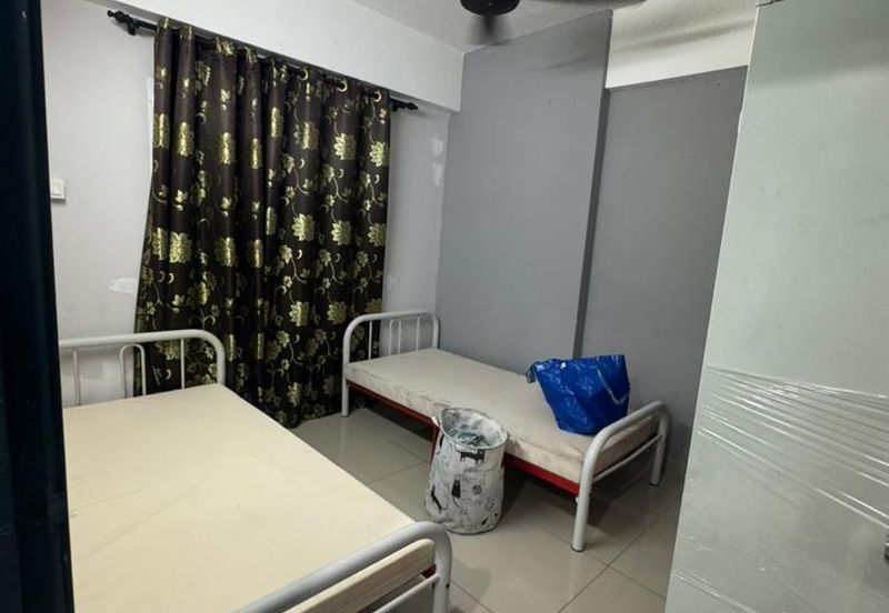 Palm Garden Apartment