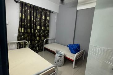 Palm Garden Apartment