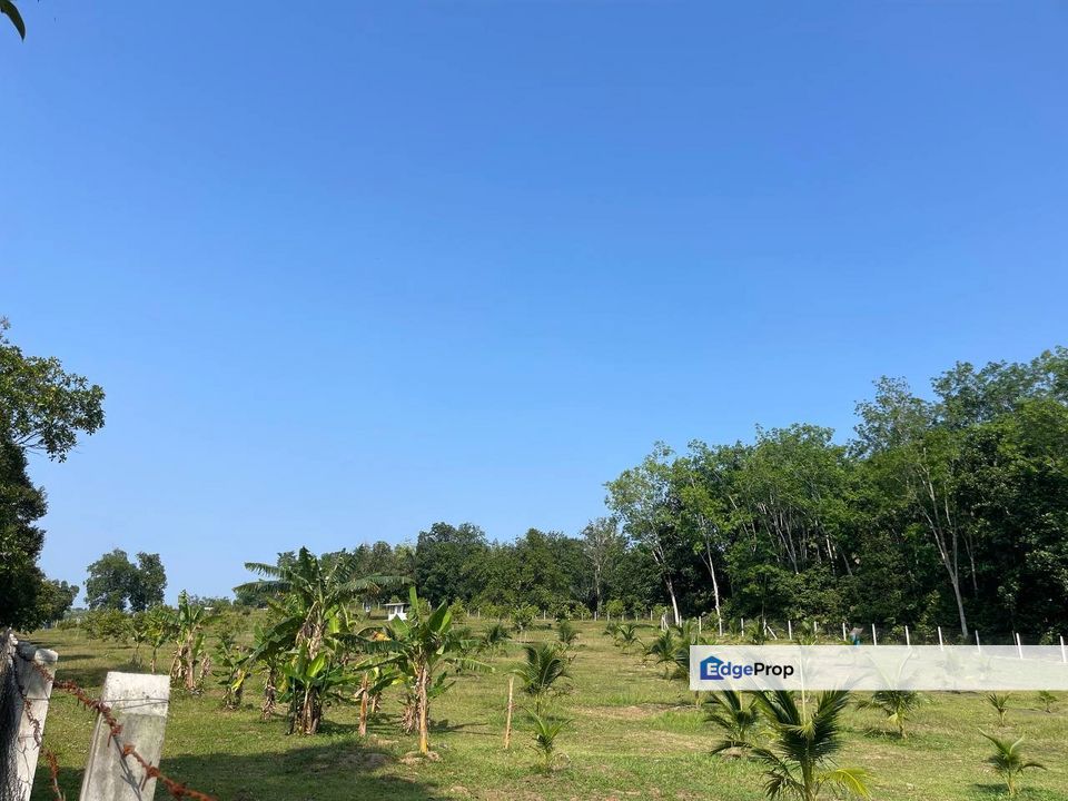 Lenggeng Negeri Sembilan Freehold Land For Sale , Negeri Sembilan, Lenggeng