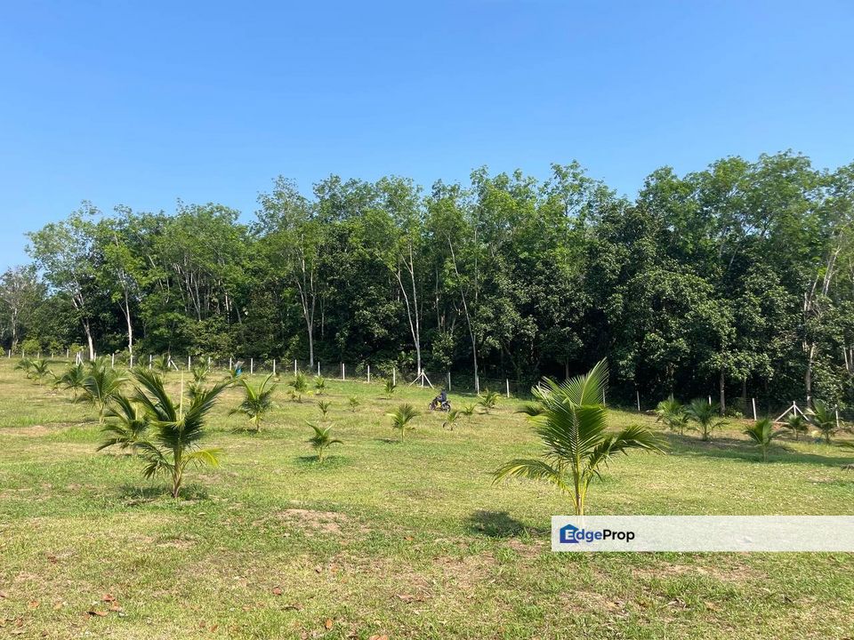 Lenggeng Negeri Sembilan Freehold Land For Sale , Negeri Sembilan, Lenggeng