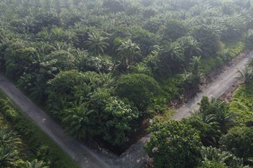 Kampung Seri Cheeding