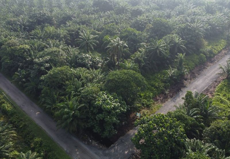 Kampung Seri Cheeding