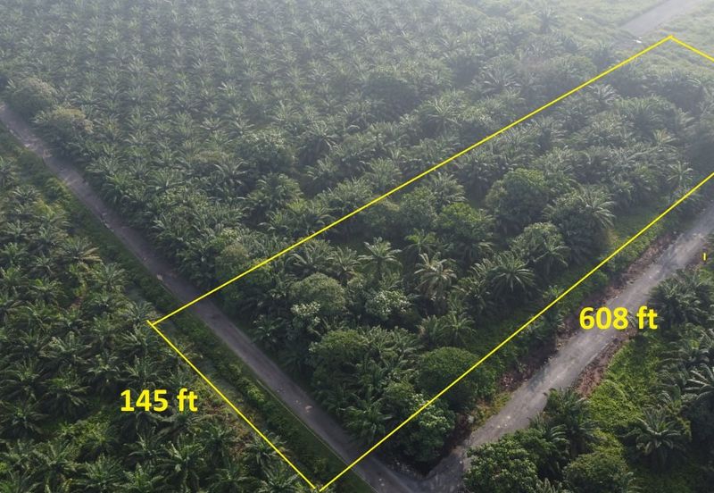 Kampung Seri Cheeding