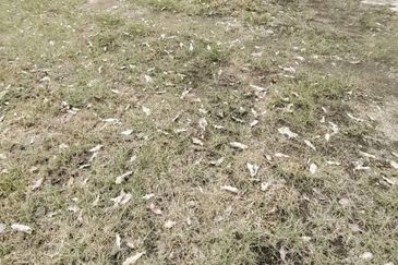 Bandar Baru Permas Jaya