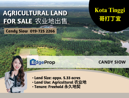 Kota Tinggi 5.33 acres Agricultural Land, Johor, Ulu Tiram