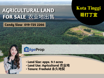 Kota Tinggi 9.1acres Agricultural Land, Johor, Ulu Tiram