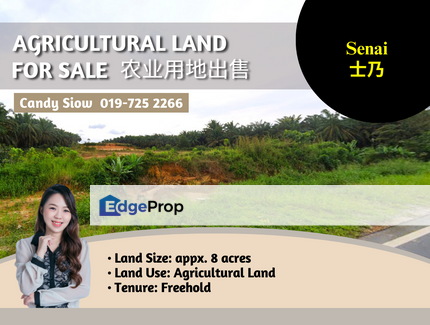 Senai 8 acres Agricultural Land, Johor, Kulai