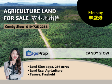 Mersing 256 acres Agriculture Land, Johor, Mersing