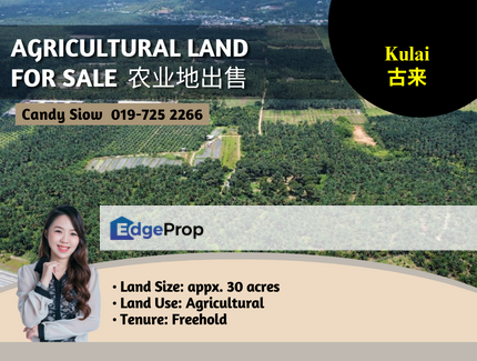 Kulai 30ac Agricultural Land, Johor, Kulai