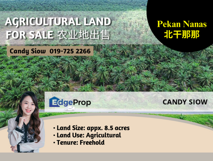 Pekan Nanas 8.5ac Agriculture Land, Johor, Pontian