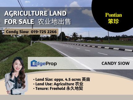 Pontian 4.5 acres Agricultural Land, Johor, Pontian