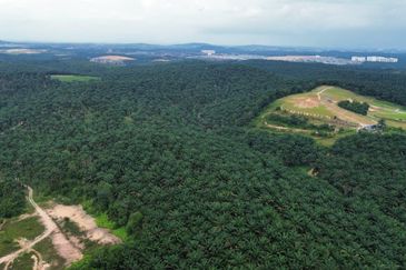 Kota Tinggi 49 acres Agriculture Land