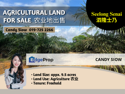 Senai Seelong Roscote 9.5 acres Agriculture Land, Johor, Senai