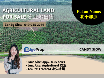 Pekan Nanas 8.55 acres Agriculture Land, Johor, Pontian