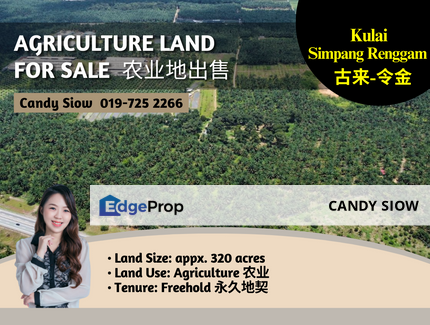 Kulai-Simpang Renggam 320 acres Agriculture Land, Johor, Kulai