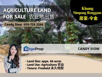 Kluang Simpang Renggam 66ac Agriculture Land, Johor, Kluang